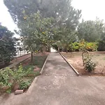 Rural Modern House بيت للعطل زيوس ماماس