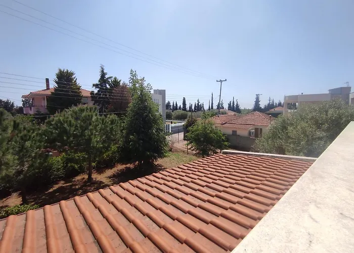 Rural Modern House *