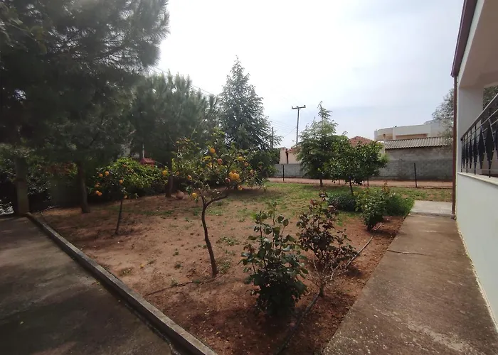 Rural Modern House *